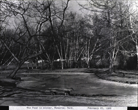 Photo only available in the library